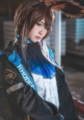《大赢家》完整版在线观看_1080P手机免费观看完整